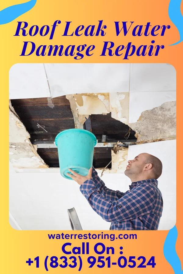 Roof Leak Water Damage Repair in Condon, OR